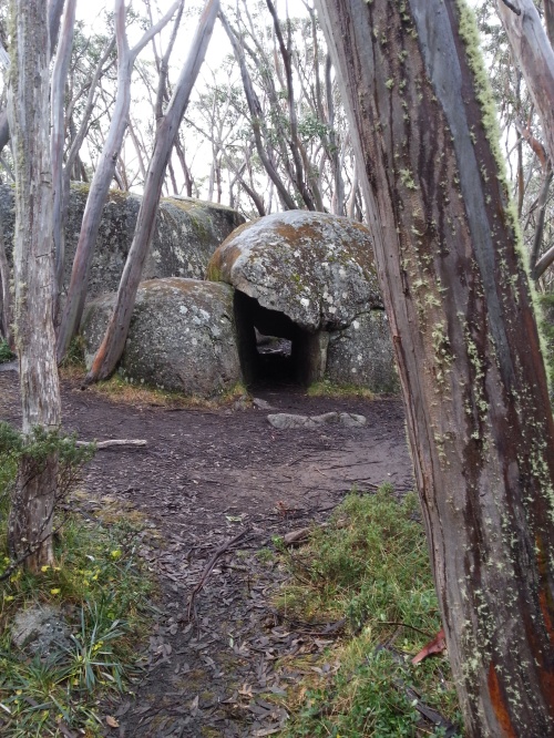 The Rock Shelter